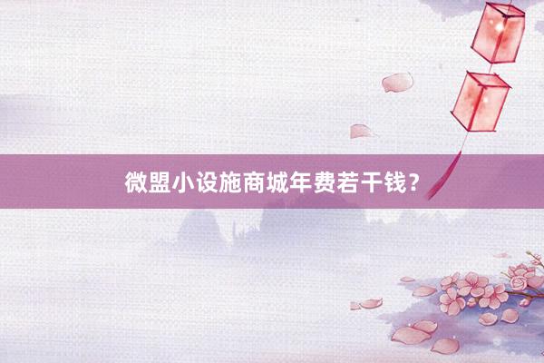 微盟小设施商城年费若干钱?