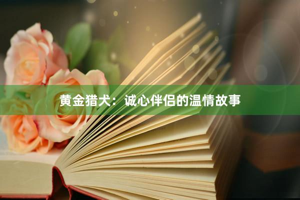 黄金猎犬：诚心伴侣的温情故事